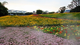 Resize of IMG_7244.JPG